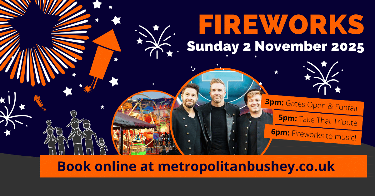 Watford Fireworks Night in Bushey